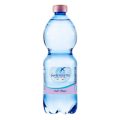 Mineral San Benedetto 0.5l